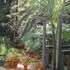 Daisys Guest House