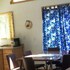 Shady Hollow Resort
