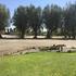 Shoshone RV Park