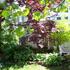 Twenty Woodlawn Bed & Breakfast