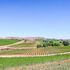 Vina Robles Guest 4 Br Home by RedAwning