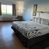 Sycamore Suites