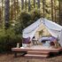 Mendocino Grove