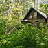 Huckleberry Hideout Cabin with Hot Tub