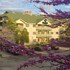 Grand Wood Suites