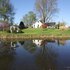 Montrose Farms Alpaca Ranch