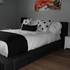 Balmoral Motel Hotel