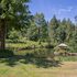 A Hidden Haven & Water Garden Cottages