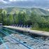 Aspen Meadows Resort