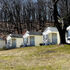 Rainbow Motel