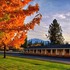 Shasta Pines Motel & Suites