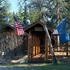 Moose Cabin