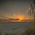 Seashell 19 by Distinctive Beach Rentals