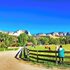 Arrowhead Country Cabins