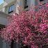 Hampton Inn & Suites Cincinnati-Union Center