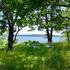 Sea Heather Cottage