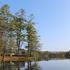 Alpine Lake Lakefront Park Model 4