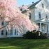 Beech Tree Bed and Breakfast