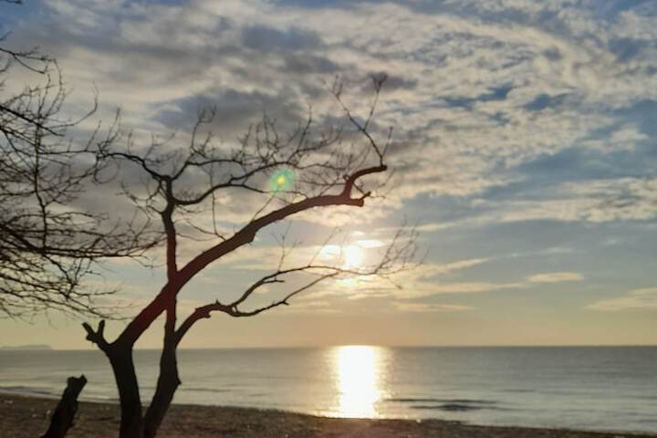 Beach 48 of 60