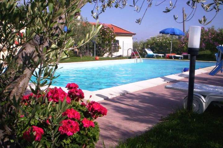 Pool 21 of 53