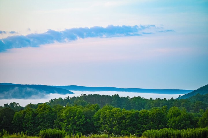 View from property