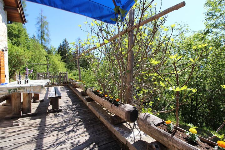 Terrace/Patio 11 of 39
