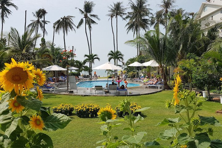 Pool 86 of 131