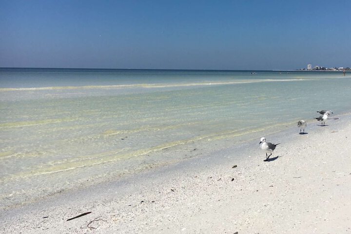 Beach 36 of 43