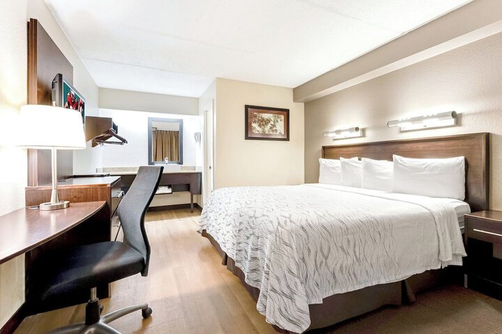 Standard | King Bed (17 of 24)