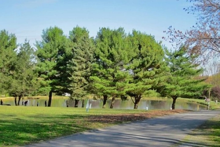 Property Grounds 67 of 78