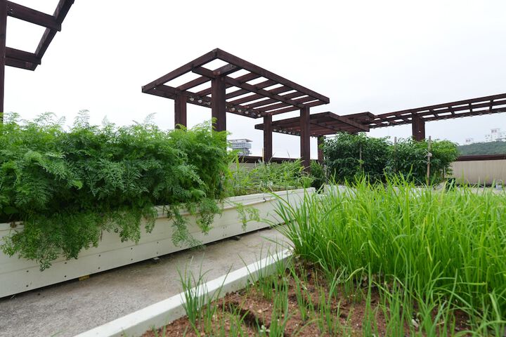 Terrace/Patio 57 of 64
