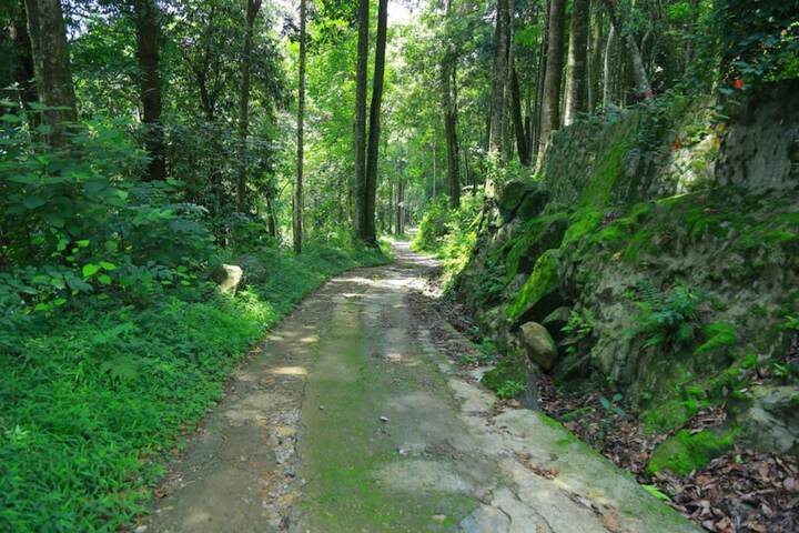 Hiking