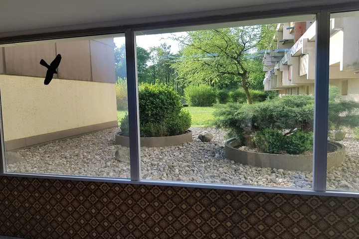 Terrace/Patio 6 of 12