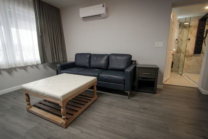 1 King Bed Pet Friendly Accessible (55 of 90)