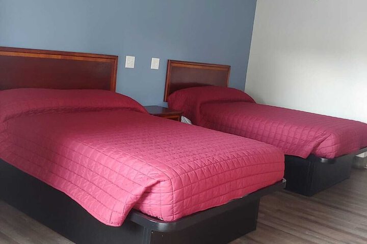Standard Room, King or Two Doubles (5 of 5)