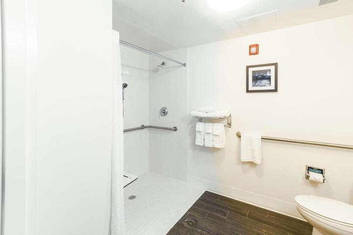 1 King Mobility Accessible Roll in Shower Studio (8 of 20)