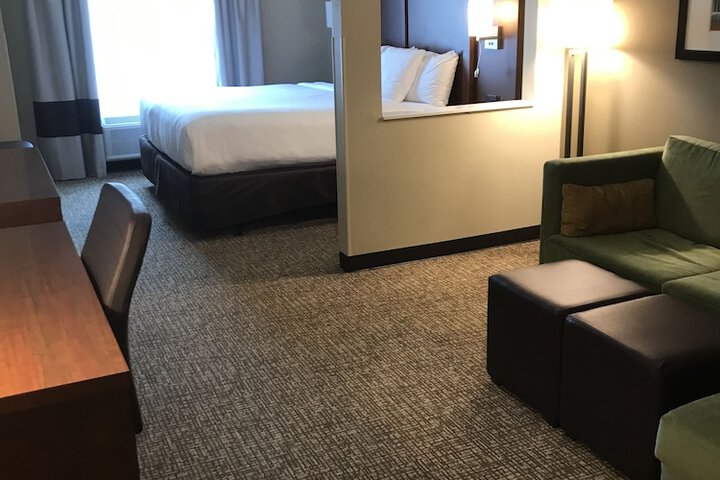 1 King Bed Suite (9 of 17)