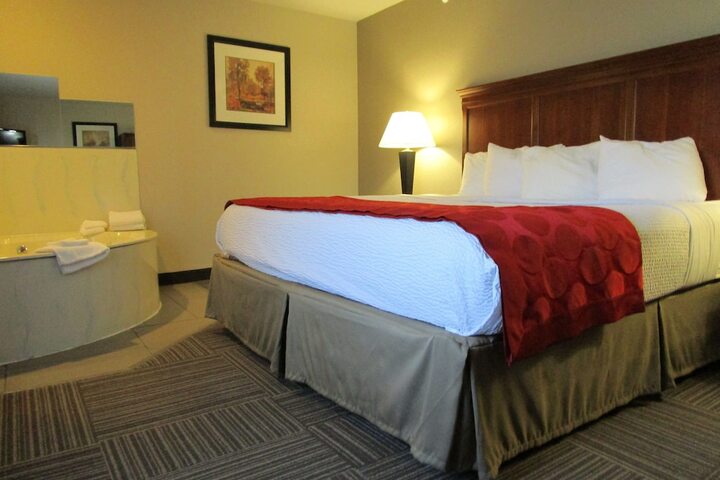 1 King Bed (15 of 37)