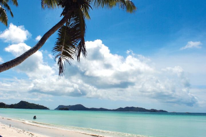 Beach 46 of 67