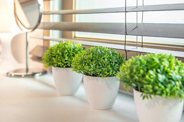 Spa and Wellness Pictures