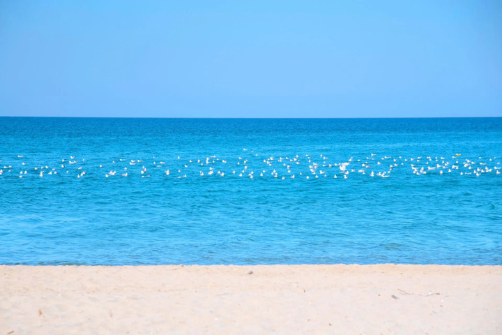 Beach 16 of 19