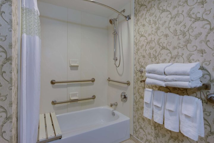 1 King Balcony Mobility Hearing Accessible Tub (12 of 19)