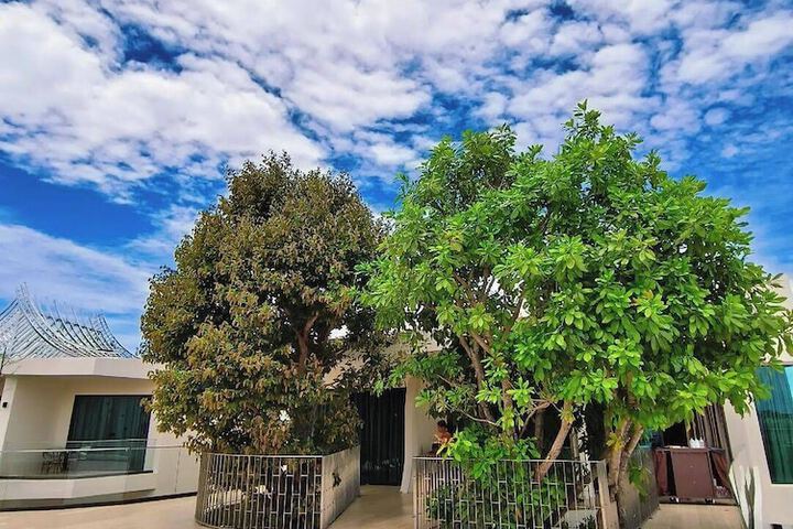 Terrace/Patio 70 of 77