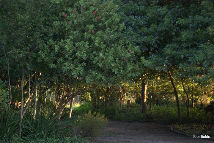 Property Grounds 26 of 34