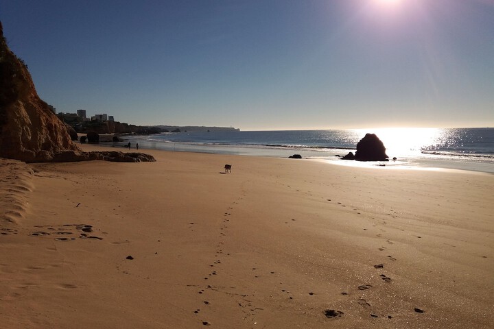 Beach 64 of 75