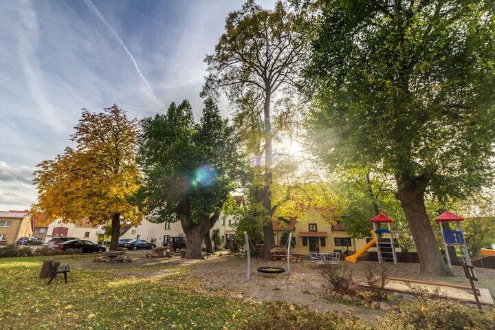 Property Grounds 17 of 21