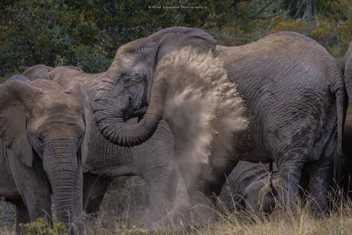 Game viewing