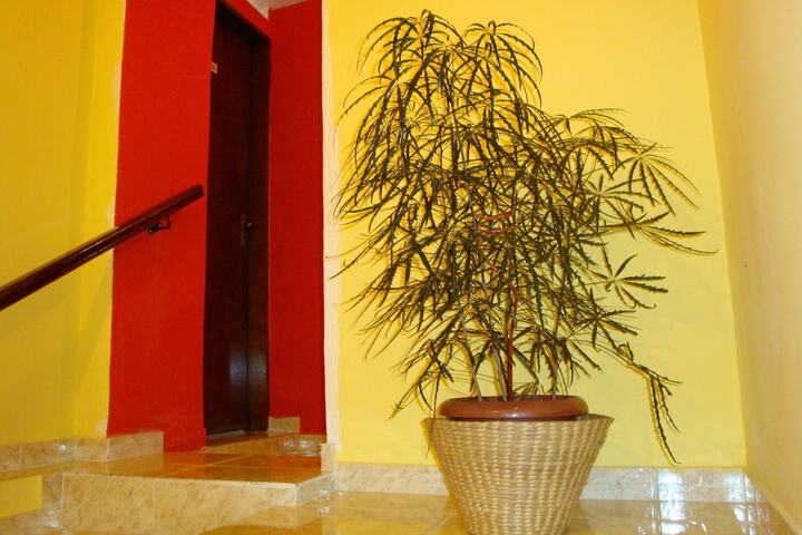 Hotel Interior 13 of 13