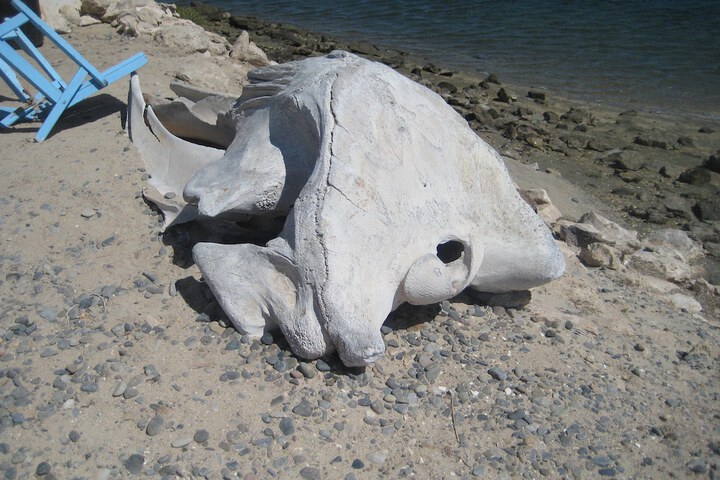 Beach 31 of 44