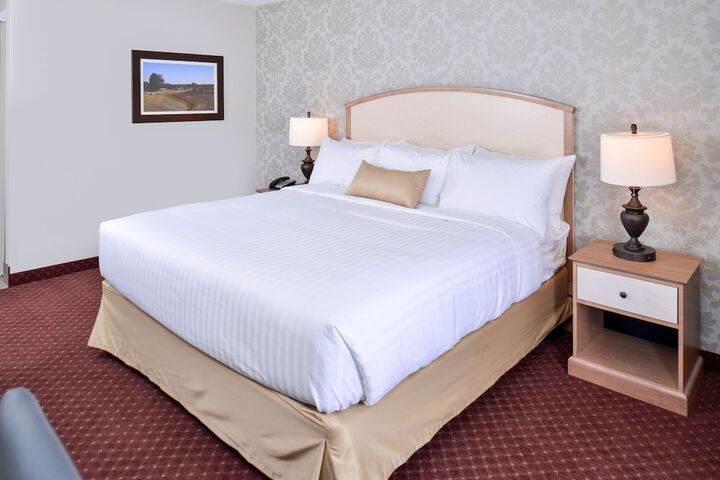 Standard King Bed Accessible (3 of 9)